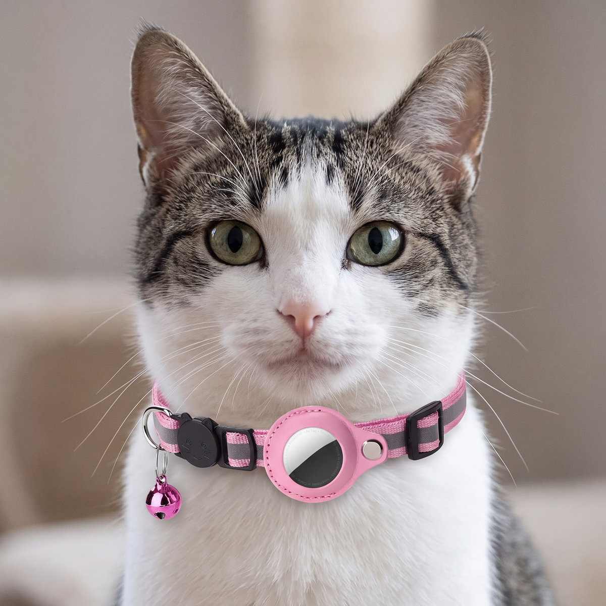 Gato con collar rosa, cascabel y soporte para AirTag
