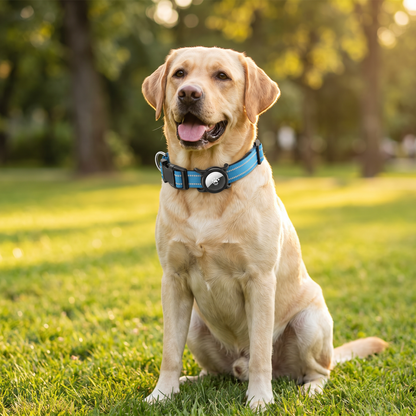 Perro con el collar reflectante con soporte para AirTag